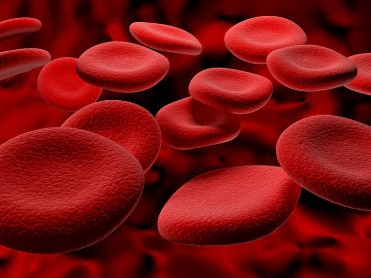 Что означает СОЭ в анализе крови