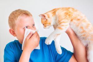 Детей, склонных к аллергии, необходимо заранее подготовить к пробе Манту