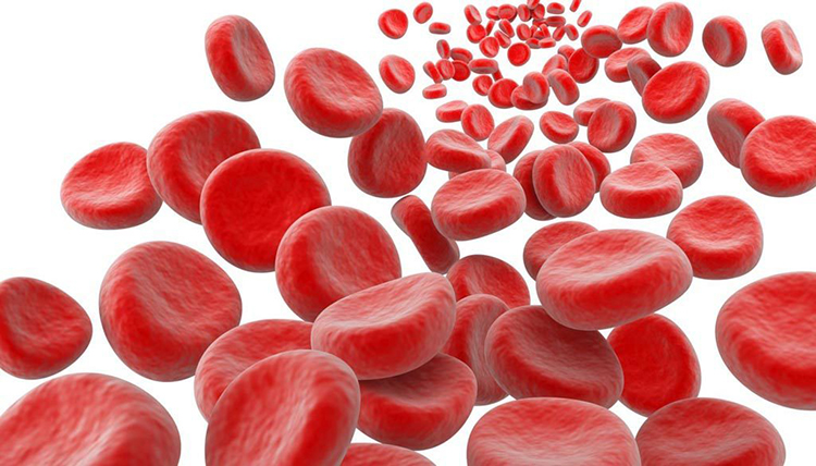 Как повысить гемоглобин в крови разными способами