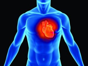 Сироп нельзя принимать при заболеваниях сердца